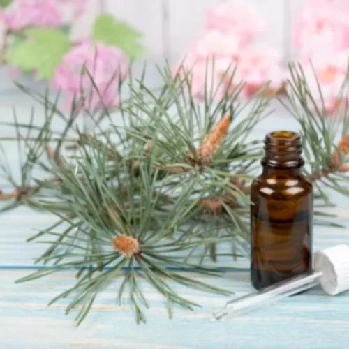 Atelier – Fleurs de Bach